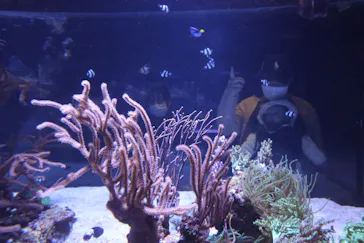 すみだ水族館に投稿された画像（2021/1/4）