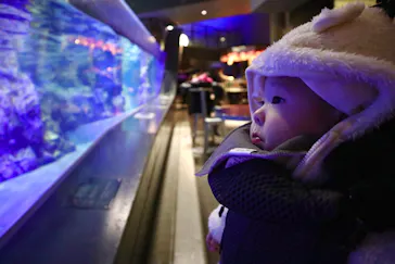 すみだ水族館に投稿された画像（2021/1/4）