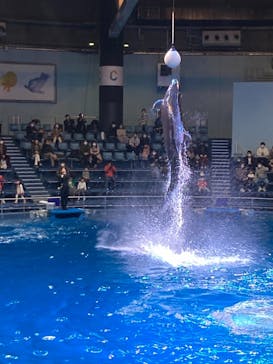 マクセル アクアパーク品川に投稿された画像（2021/1/4）