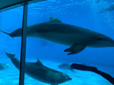 マリンワールド海の中道に投稿された画像（2021/1/4）