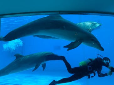 マリンワールド海の中道に投稿された画像（2021/1/4）