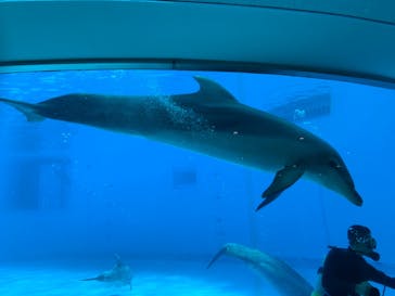 マリンワールド海の中道に投稿された画像（2021/1/4）