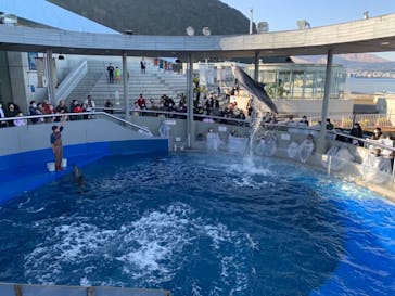 大分マリーンパレス水族館 「うみたまご」に投稿された画像（2021/1/4）