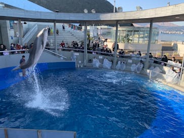 大分マリーンパレス水族館 「うみたまご」に投稿された画像（2021/1/4）