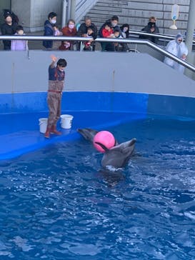 大分マリーンパレス水族館 「うみたまご」に投稿された画像（2021/1/4）