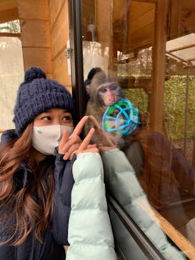 おさるランド＆アニタウン　日光さる軍団劇場に投稿された画像（2021/1/4）