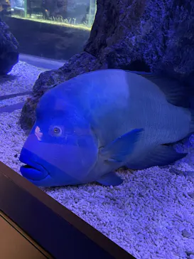 すみだ水族館に投稿された画像（2021/1/4）