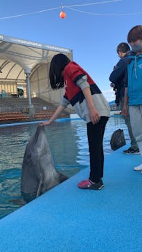 南知多ビーチランド＆南知多おもちゃ王国に投稿された画像（2021/1/4）