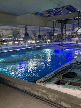 南知多ビーチランド＆南知多おもちゃ王国に投稿された画像（2021/1/4）