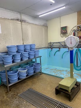 南知多ビーチランド＆南知多おもちゃ王国に投稿された画像（2021/1/4）