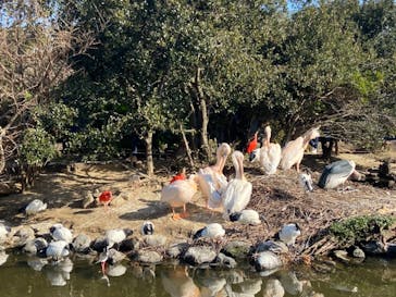 神戸どうぶつ王国に投稿された画像（2021/1/4）