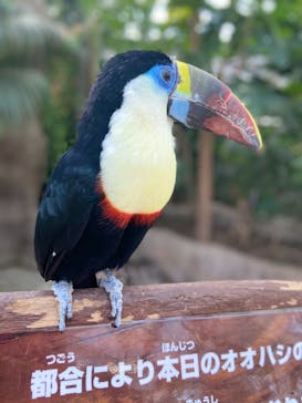 神戸どうぶつ王国に投稿された画像（2021/1/4）