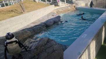 マリンワールド海の中道に投稿された画像（2021/1/4）