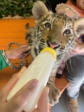 しろとり動物園に投稿された画像（2021/1/4）