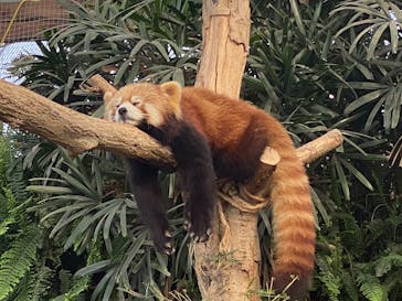 神戸どうぶつ王国に投稿された画像（2021/1/4）