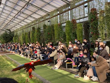 神戸どうぶつ王国に投稿された画像（2021/1/4）