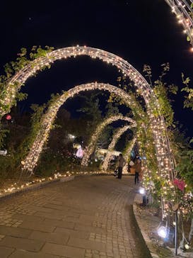 ひらかたパークに投稿された画像（2021/1/4）