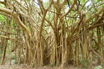 アスムイハイクスに投稿された画像（2021/1/4）