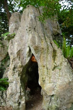 アスムイハイクスに投稿された画像（2021/1/4）