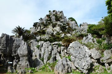 アスムイハイクスに投稿された画像（2021/1/4）