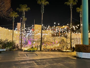 ひらかたパークに投稿された画像（2021/1/4）