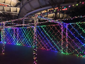 よみうりランド 遊園地に投稿された画像（2021/1/4）