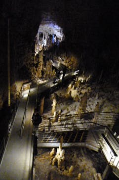 おきなわワールドに投稿された画像（2021/1/4）