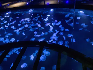 すみだ水族館に投稿された画像（2021/1/4）