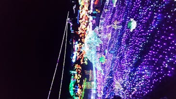 伊豆ぐらんぱる公園に投稿された画像（2021/1/4）