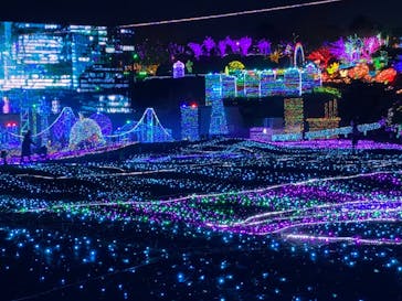 伊豆ぐらんぱる公園に投稿された画像（2021/1/4）