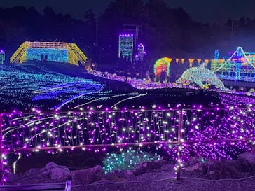 伊豆ぐらんぱる公園に投稿された画像（2021/1/4）