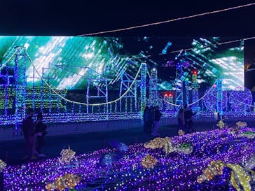 伊豆ぐらんぱる公園に投稿された画像（2021/1/4）