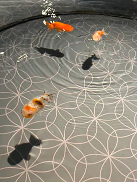 すみだ水族館に投稿された画像（2021/1/4）