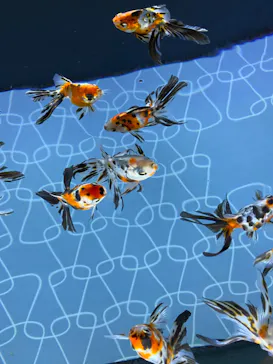 すみだ水族館に投稿された画像（2021/1/4）