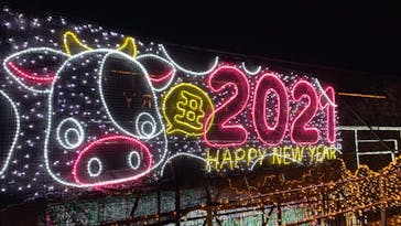 さがみ湖MORI MORIに投稿された画像（2021/1/4）