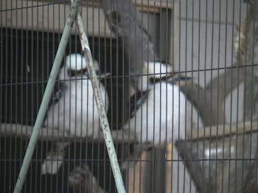 天王寺動物園に投稿された画像（2021/1/5）