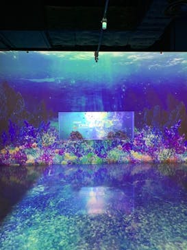 マクセル アクアパーク品川に投稿された画像（2021/1/5）