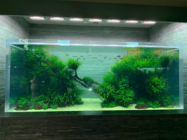 すみだ水族館に投稿された画像（2021/1/5）