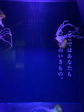 すみだ水族館に投稿された画像（2021/1/5）