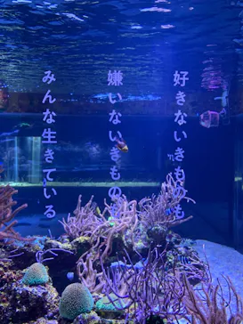 すみだ水族館に投稿された画像（2021/1/5）