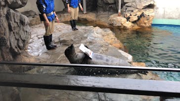 しながわ水族館に投稿された画像（2021/1/5）