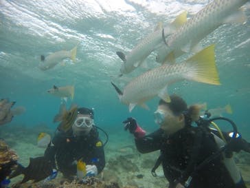 武藤潜水に投稿された画像（2021/1/5）