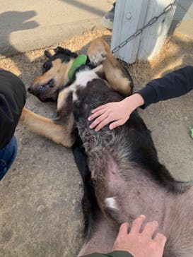 伊香保グリーン牧場に投稿された画像（2021/1/5）