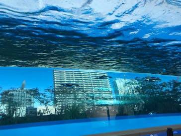 サンシャイン水族館に投稿された画像（2021/1/5）