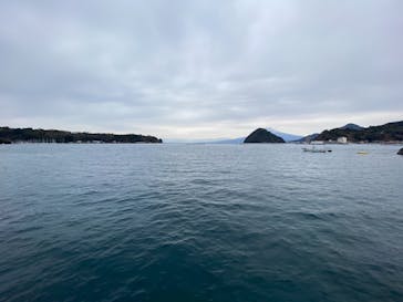 伊豆・三津シーパラダイスに投稿された画像（2021/1/5）