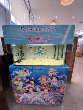 伊豆・三津シーパラダイスに投稿された画像（2021/1/5）