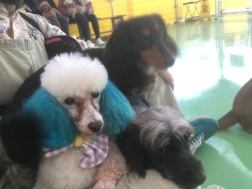 つくばわんわんランドに投稿された画像（2021/1/5）