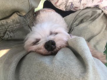 つくばわんわんランドに投稿された画像（2021/1/5）