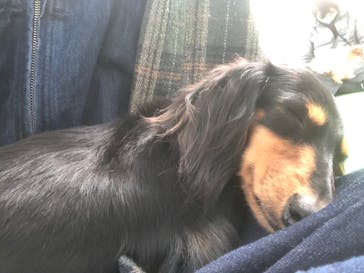 つくばわんわんランドに投稿された画像（2021/1/5）