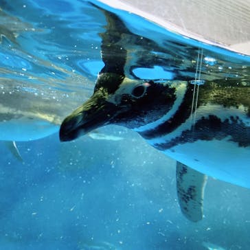 株式会社Gに投稿された画像（2021/1/5）